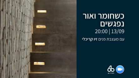 וובינר “כשחומר ואור נפגשים​” עם מעצבת פנים זיו קריכלי | הרשמה